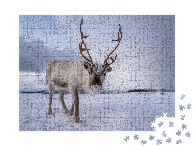 Puzzle de 1000 pièces « Un renne curieux »