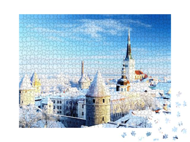Puzzle de 1000 pièces « De beaux arbres enneigés : l'hiver à Tallinn, Estonie »