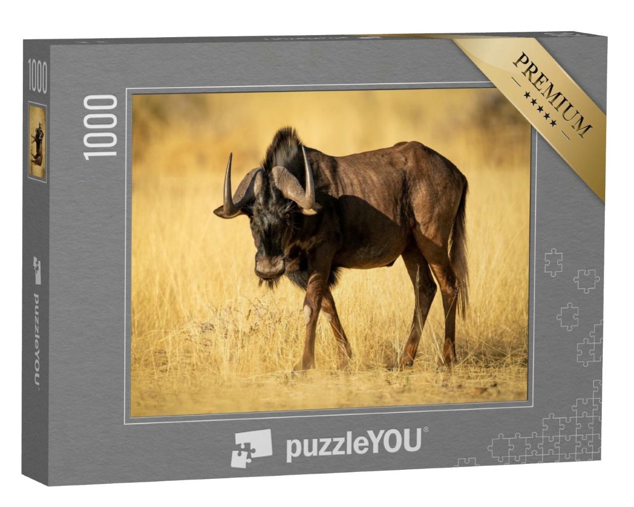 Puzzle de 1000 pièces « Gnou noir dans l'herbe sèche de la steppe »