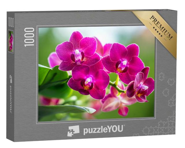 Puzzle de 1000 pièces « Le rose éclatant d'une orchidée en fleur »