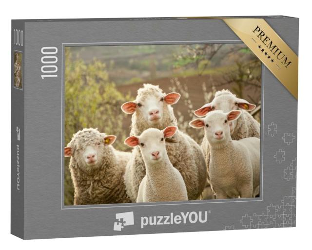 Puzzle de 1000 pièces « Des moutons curieux »