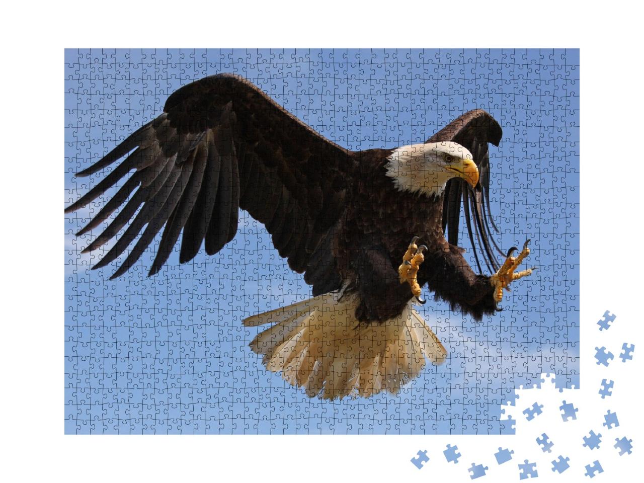 Puzzle de 1000 pièces « Un aigle qui vole »