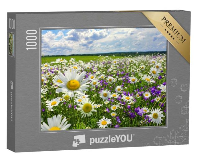 Puzzle de 1000 pièces « Paysage d'été avec prairie fleurie et fleurs »