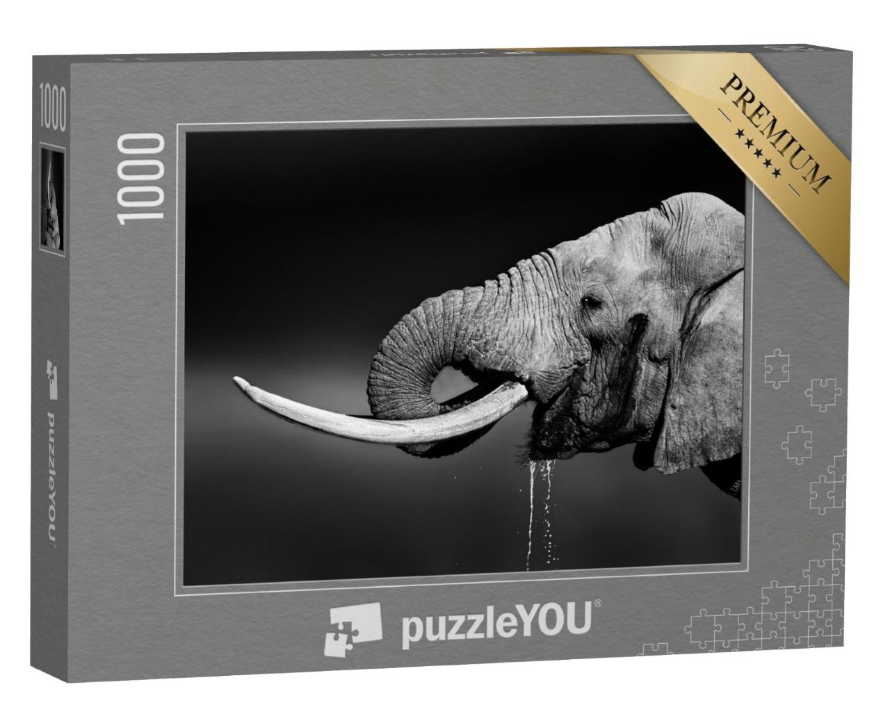 Puzzle de 1000 pièces « Eléphant mâle buvant de l'eau, noir et blanc »
