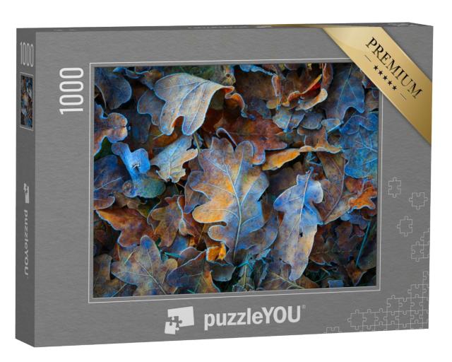 Puzzle de 1000 pièces « Feuilles de chêne congelées »