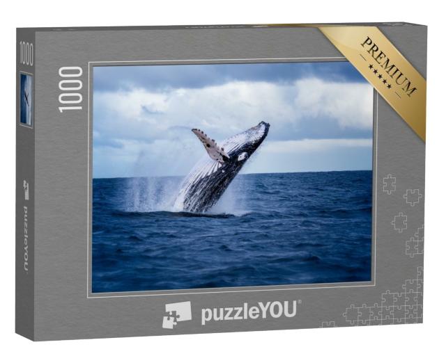 Puzzle de 1000 pièces « Baleine à bosse sautant hors de l'eau, Australie »