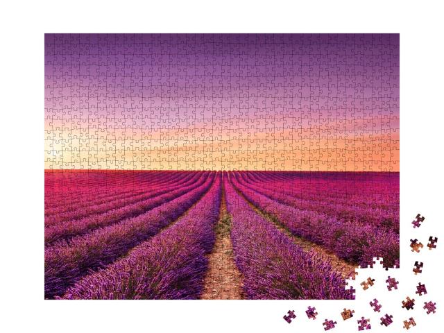Puzzle de 1000 pièces « Fleurs de lavande : champs en fleurs au coucher du soleil, Provence, France »