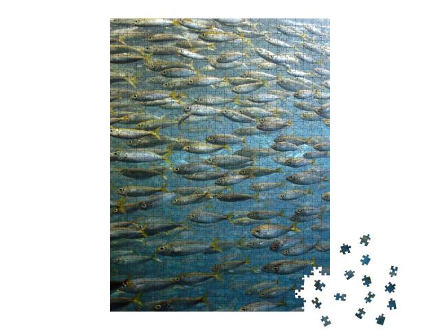 Puzzle de 1000 pièces « Banc de sardines »