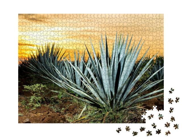 Puzzle de 1000 pièces « Tequila-Plantage, Guadalajara, Mexique »