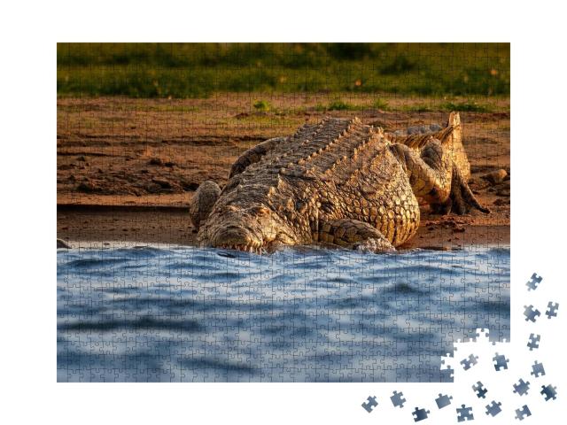 Puzzle de 1000 pièces « Le crocodile du Nil au bord de la rivière ouvre sa gueule avec de grandes dents »