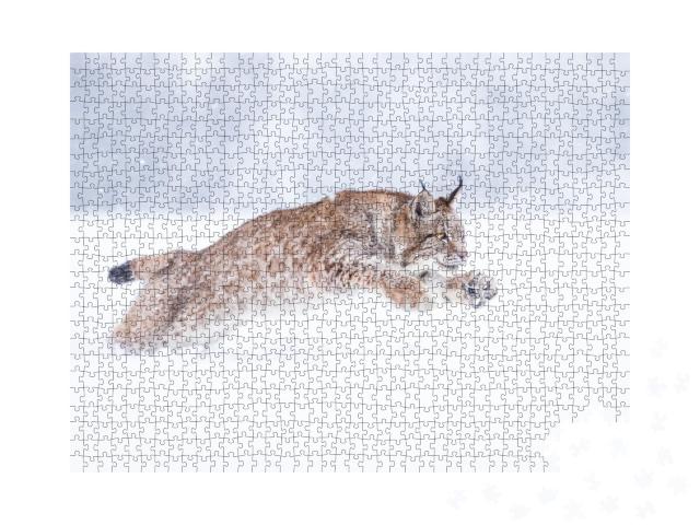 Puzzle de 1000 pièces « Jeune lynx d'Eurasie dans la neige »