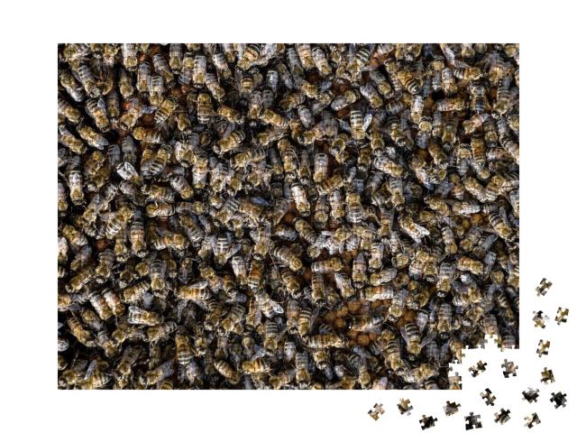 Puzzle de 1000 pièces « Un essaim d'abeilles à miel »