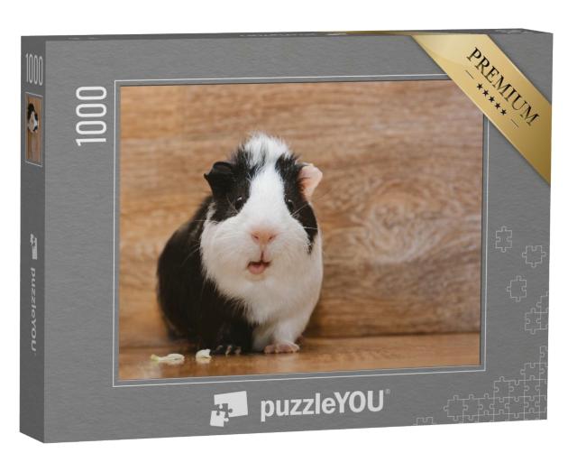 Puzzle de 1000 pièces « Un adorable cochon d'Inde noir et blanc mangeant des feuilles de chou »