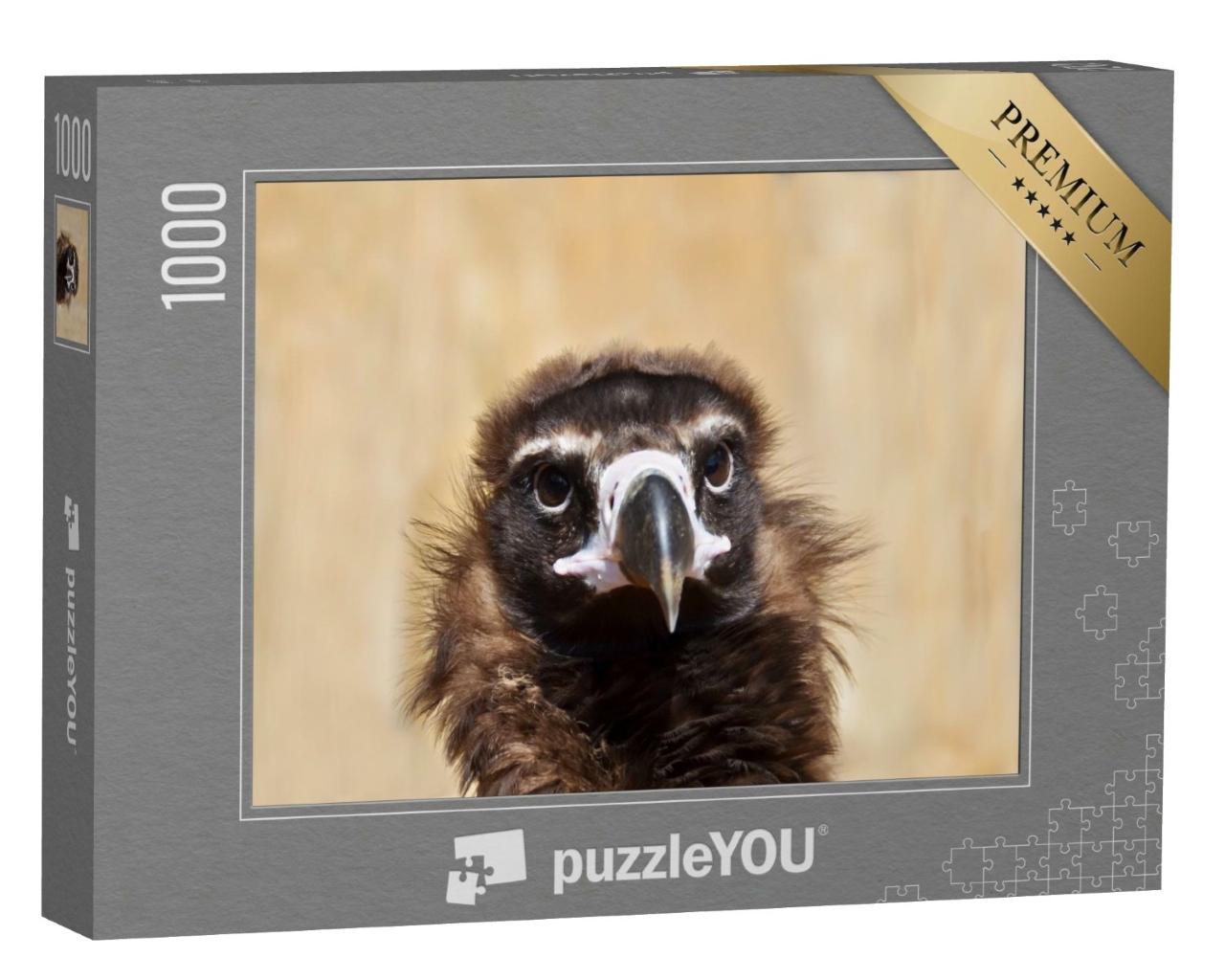 Puzzle de 1000 pièces « Portrait d'un vautour moine »