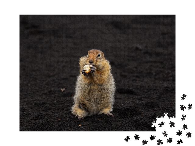 Puzzle de 1000 pièces « Un écureuil terrestre dans le sable volcanique »