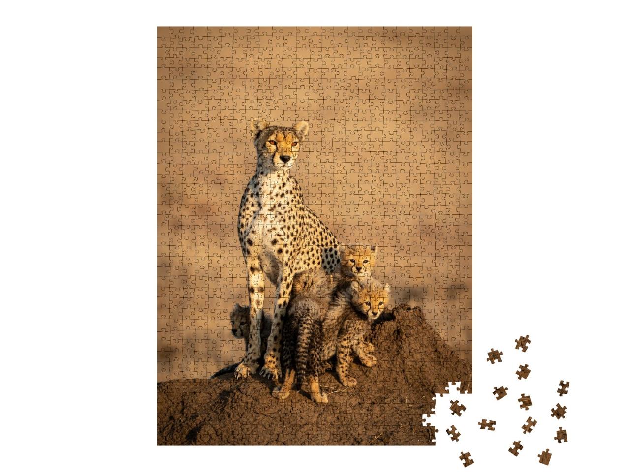 Puzzle de 1000 pièces « femelle guépard et de ses quatre petits guépards »