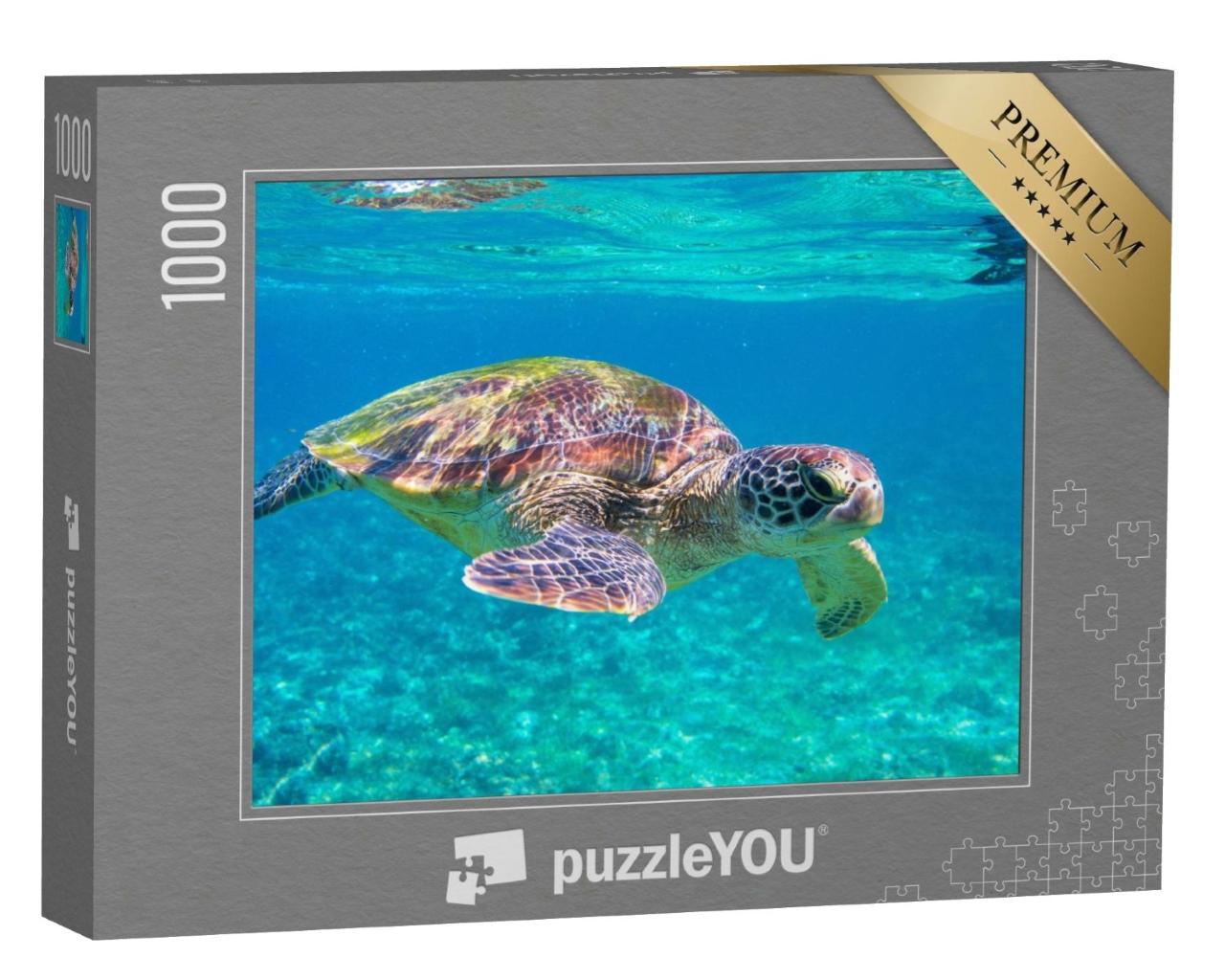 Puzzle de 1000 pièces « Tortue de mer »
