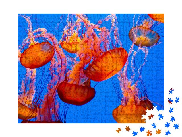 Puzzle de 1000 pièces « Spectaculaires méduses orange »