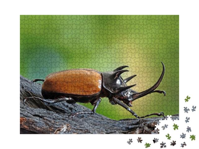 Puzzle de 1000 pièces « Rhinocéros à cinq cornes, également connu sous le nom de scarabée d'Hercule »