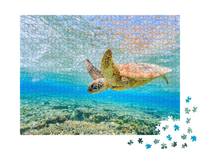 Puzzle de 1000 pièces « Une tortue plongeante, lagon de Lady Elliot Island »