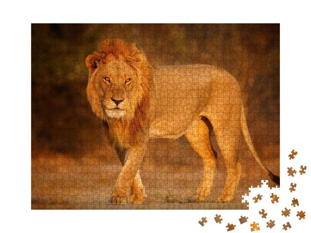 Puzzle de 1000 pièces « Lion mâle dans le soleil couchant africain »