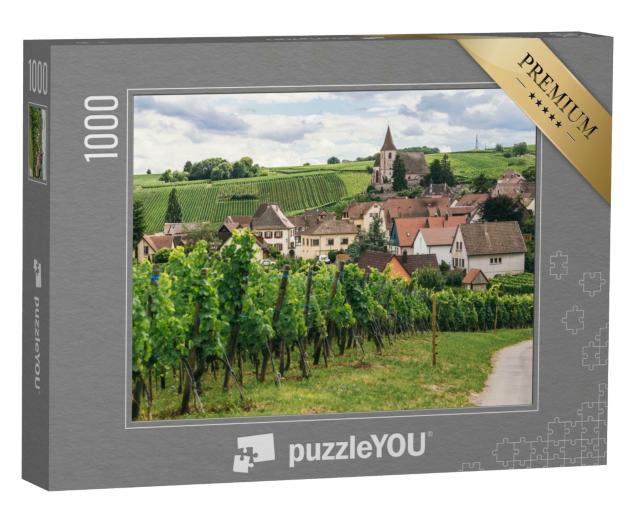 Puzzle de 1000 pièces « Raisins en rangées dans les champs de Bourgogne »