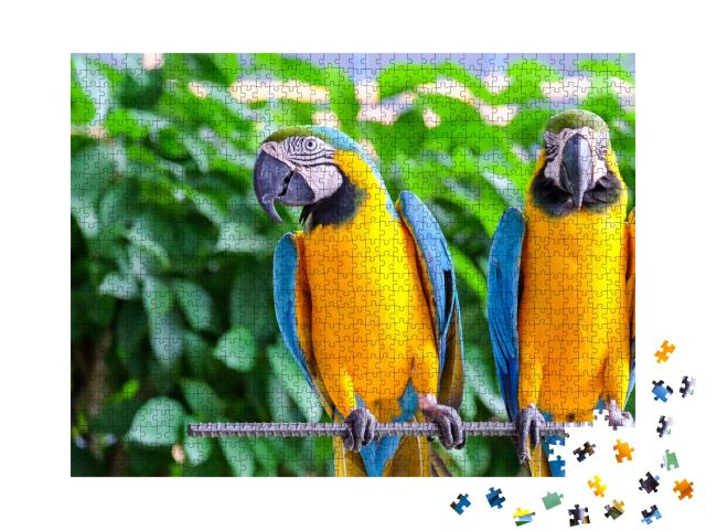 Puzzle de 1000 pièces « Perroquet ara à longue queue avec plumes multicolores »