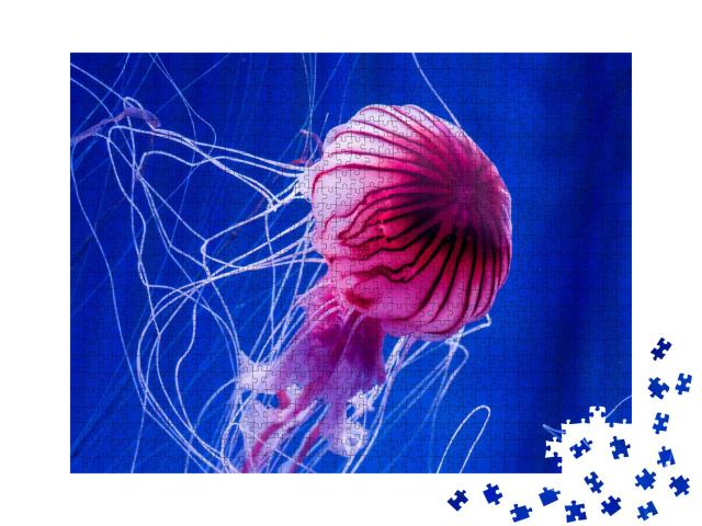 Puzzle de 1000 pièces « Méduse rose sur fond de mer bleue »