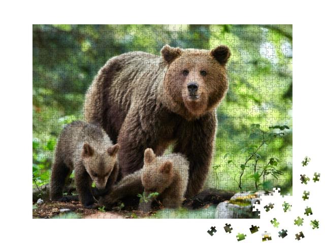 Puzzle de 1000 pièces « Un ours brun sauvage en gros plan »