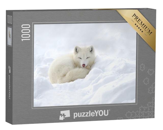 Puzzle de 1000 pièces « Renard polaire blotti dans la neige »