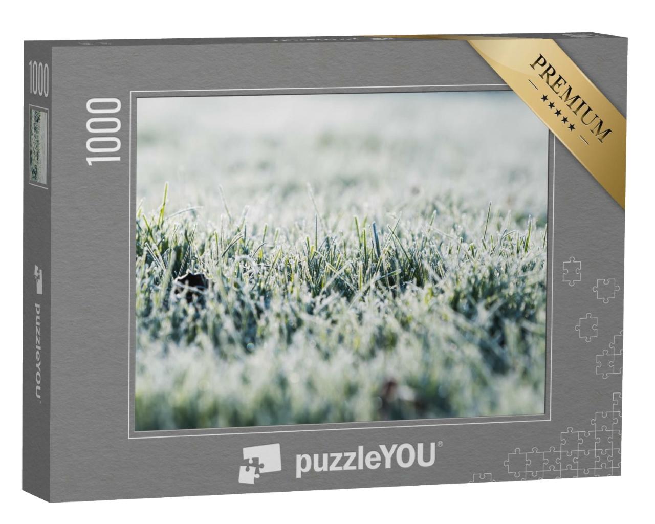 Puzzle de 1000 pièces « Gel sur l'herbe pendant la saison froide »