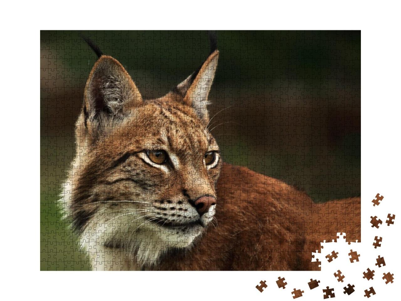 Puzzle de 1000 pièces « Un lynx eurasien attentif »