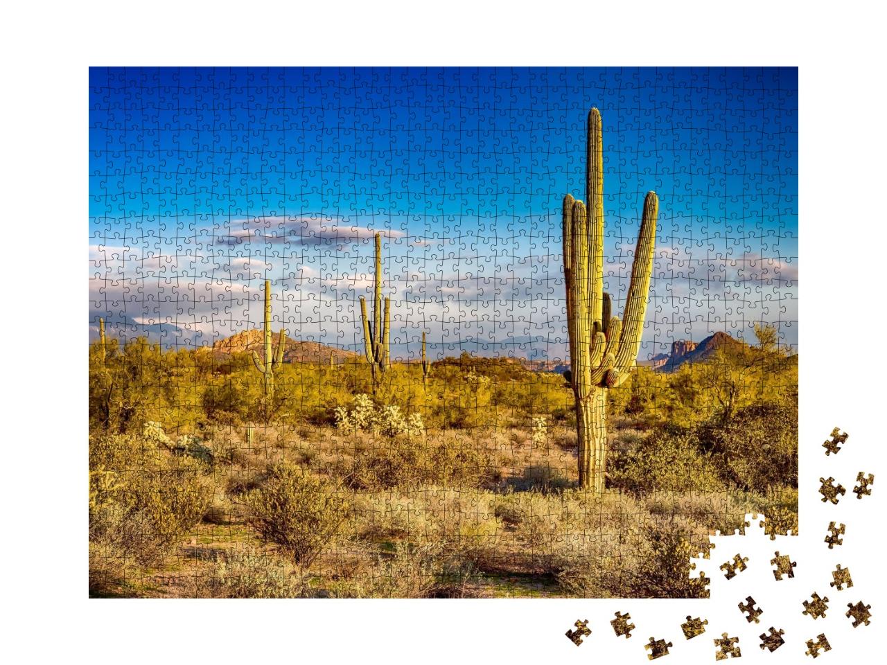Puzzle de 1000 pièces « Cactus dans un paysage sauvage »