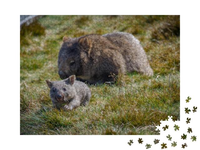 Puzzle de 1000 pièces « Maman wombat et son bébé, Tasmanie, Australie »