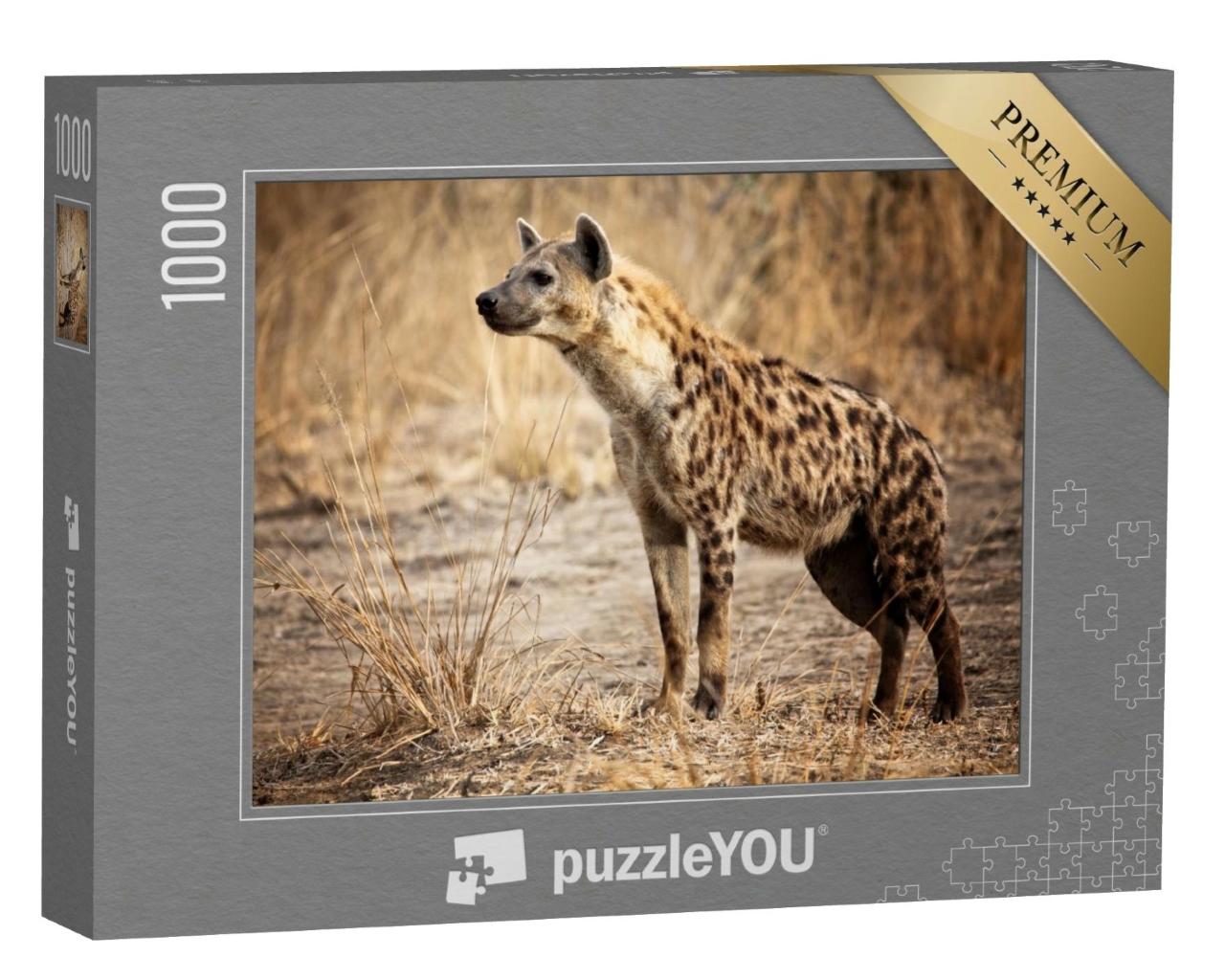 Puzzle de 1000 pièces « Hyène dans le parc national de Luangwa en Zambie »