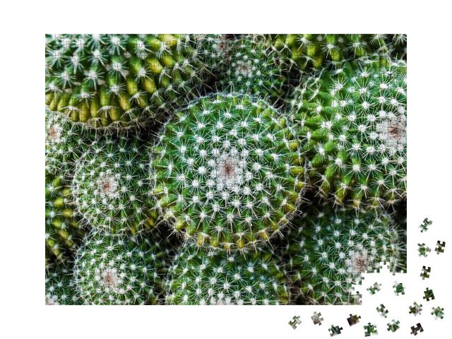 Puzzle de 1000 pièces « Gros plan sur le cactus tonneau doré du centre du Mexique »