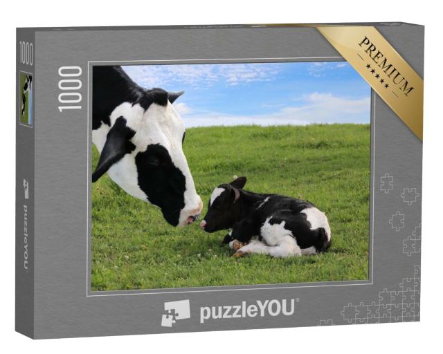 Puzzle de 1000 pièces « Vache mère Holstein avec son veau nouveau-né »