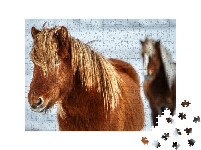 Puzzle de 500 pièces « Portrait d'un beau cheval islandais »