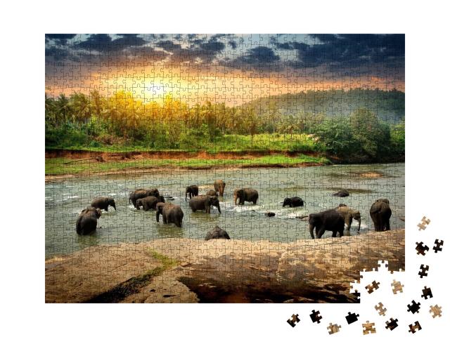 Puzzle de 1000 pièces « Troupeau d'éléphants se baignant dans la jungle du Sri Lanka »