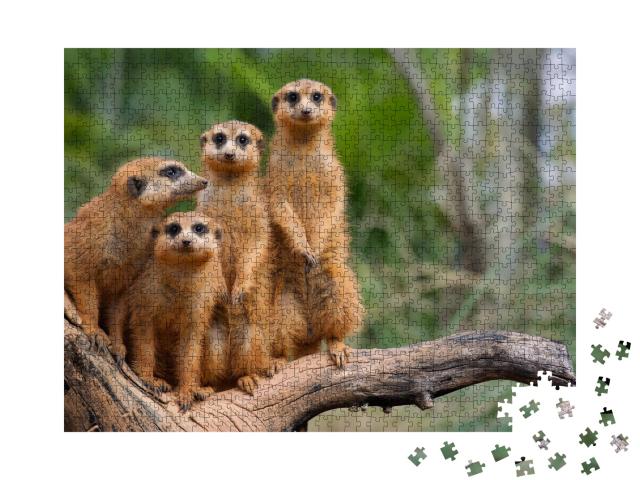 Puzzle de 1000 pièces « Famille des suricates »