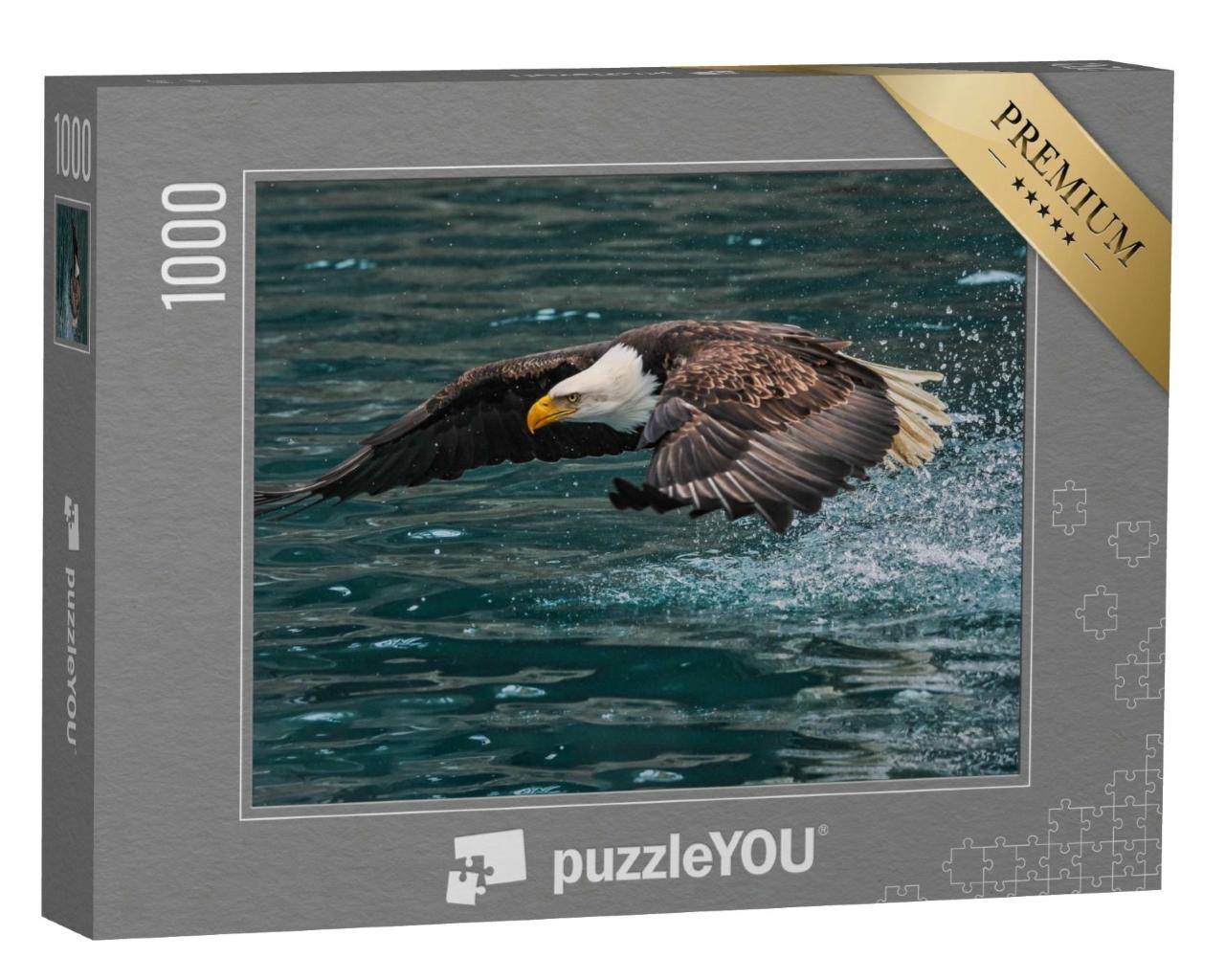 Puzzle de 1000 pièces « Le pygargue à tête blanche américain attrape un poisson »