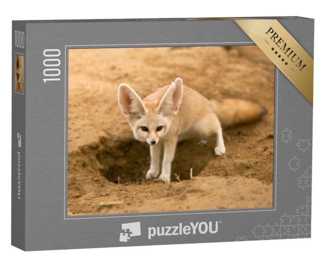 Puzzle de 1000 pièces « Le renard fennec sur le qui-vive »