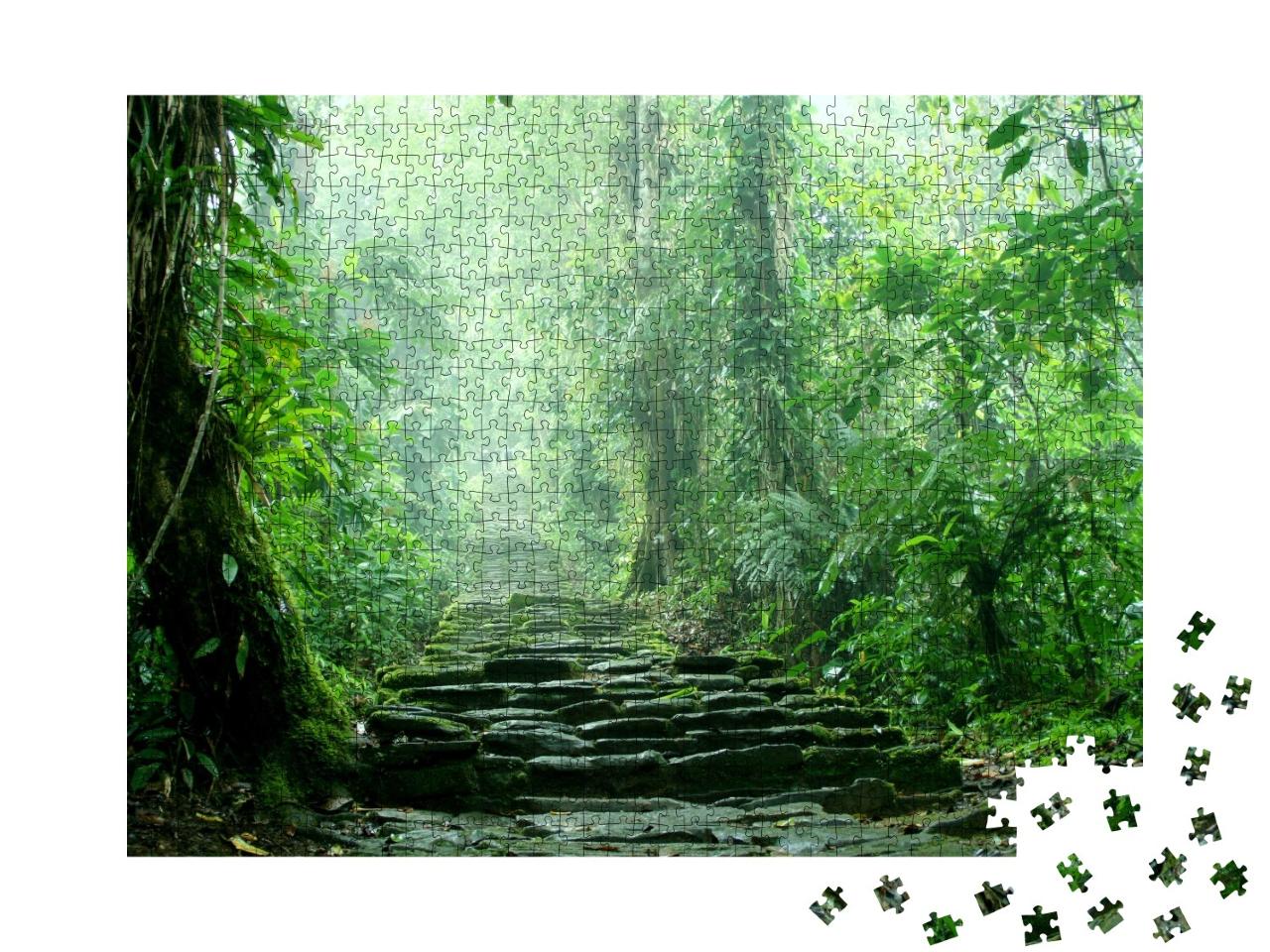 Puzzle de 1000 pièces « Un escalier caché au plus profond de la jungle colombienne »