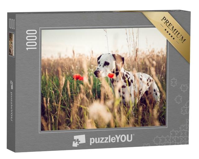 Puzzle de 1000 pièces « Adorable dalmatien dans un champ de blé »