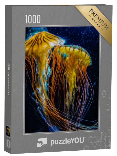Puzzle de 1000 pièces « Des méduses magnifiques mais venimeuses »