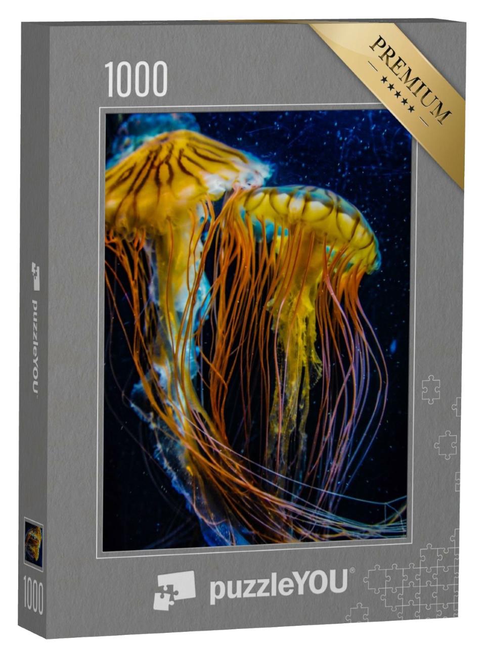Puzzle de 1000 pièces « Des méduses magnifiques mais venimeuses »