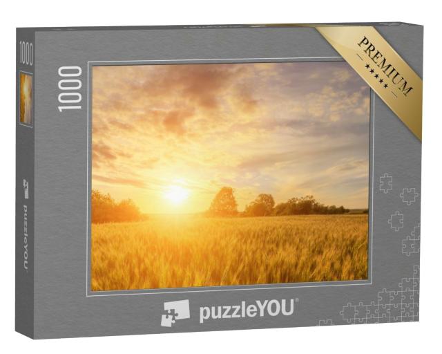 Puzzle de 1000 pièces « Coucher de soleil chaud et lumineux sur un champ »