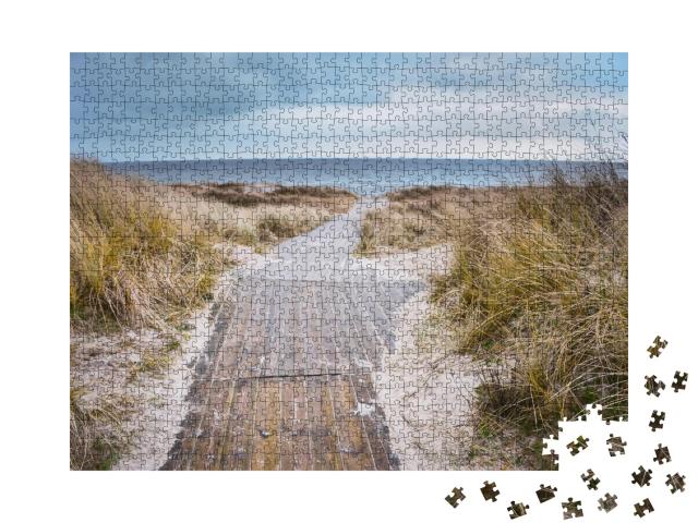 Puzzle de 1000 pièces « Plage de la mer Baltique, dunes par une rude journée d'hiver »