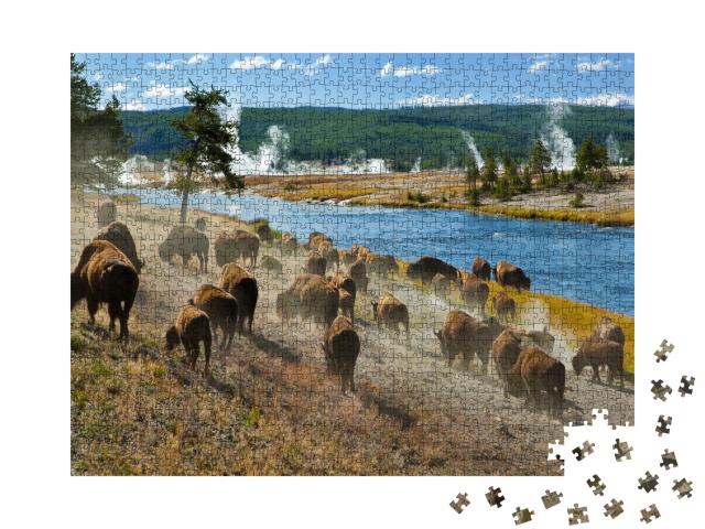 Puzzle de 1000 pièces « Eine Bisonherde am Firehole River im Yellowstone Nationalpark »