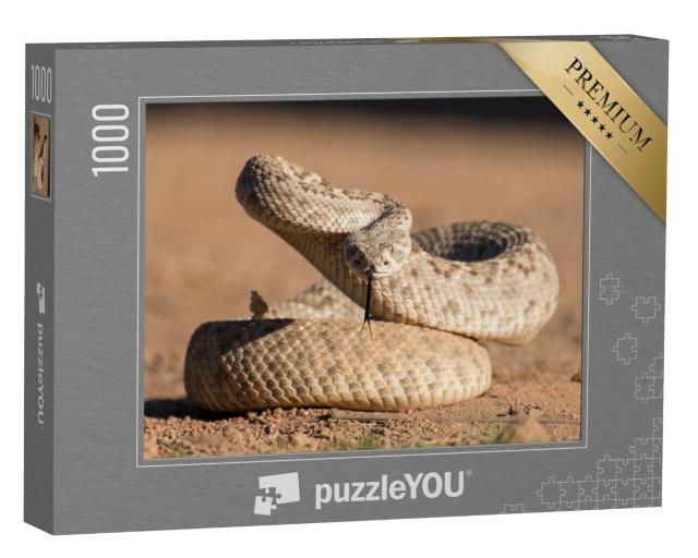 Puzzle de 1000 pièces « Jeune serpent à dos de diamant »